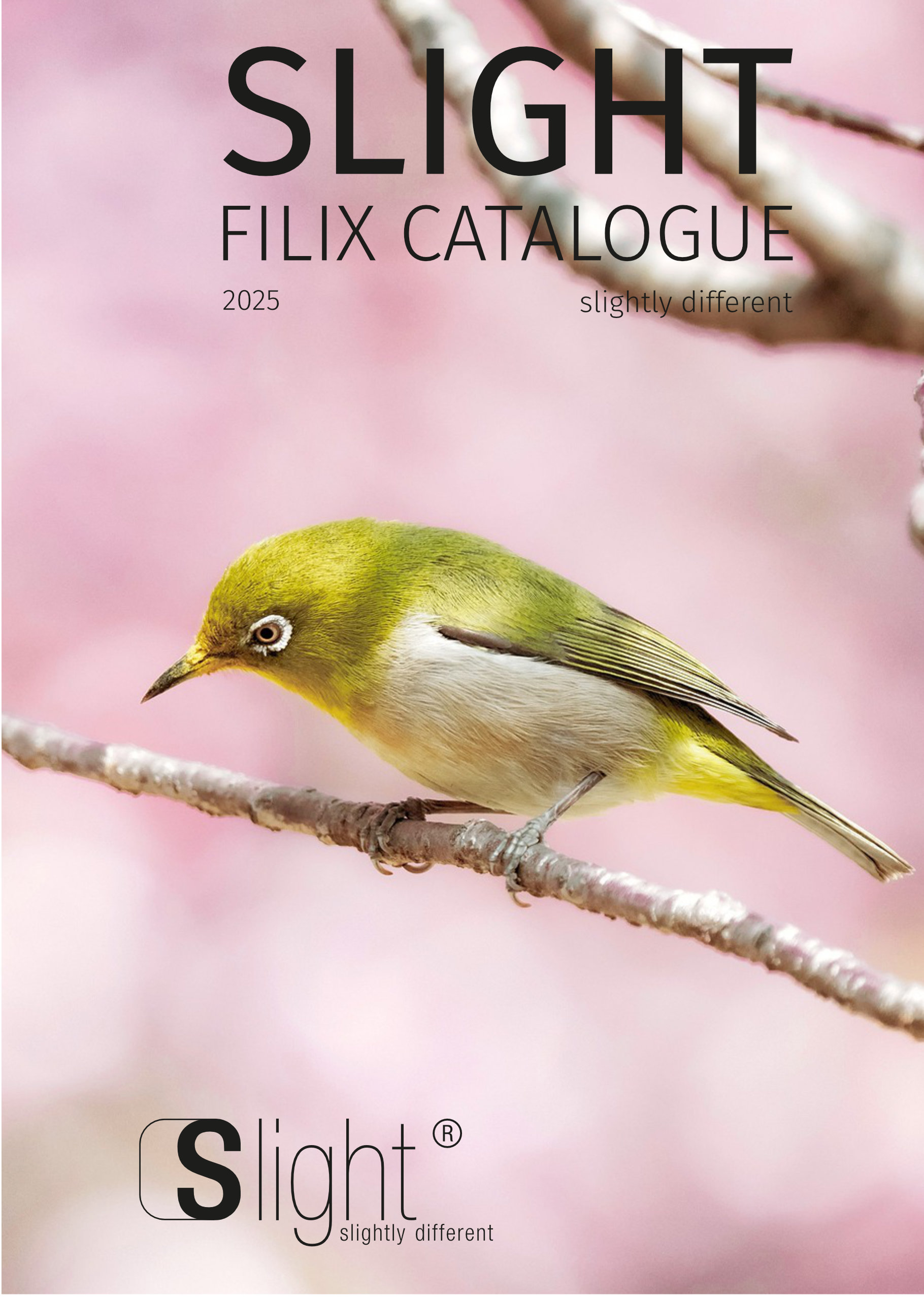Slight WEB - FILIX 2025 A5.pdf